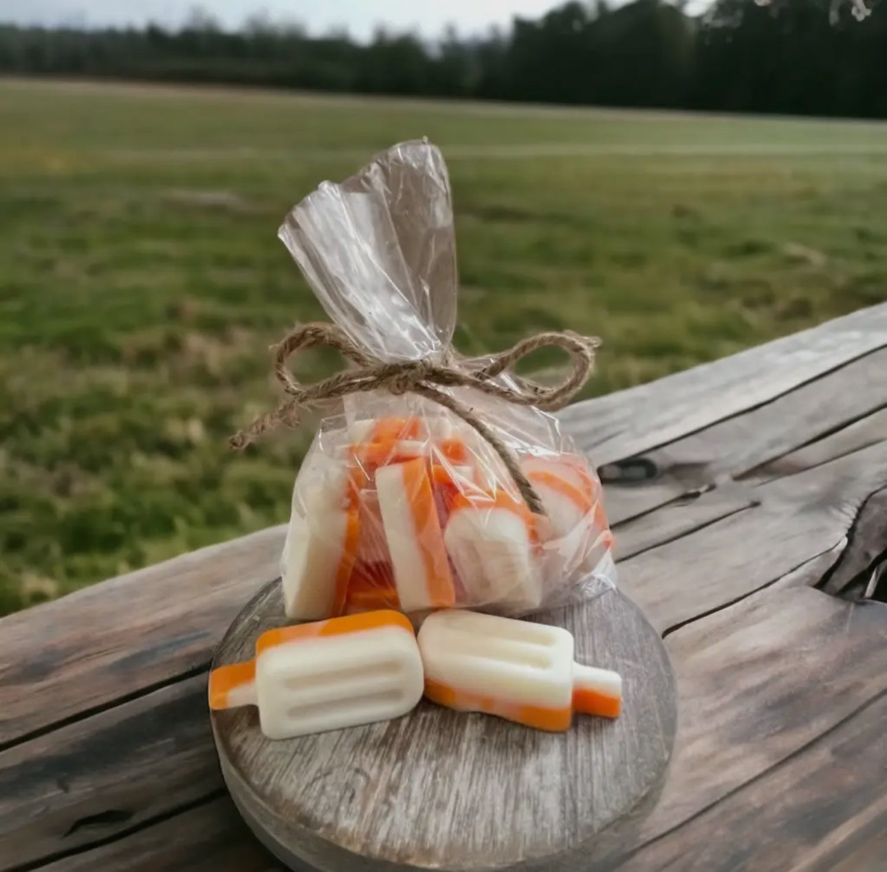Dreamsicle Popsicle Wax Melts