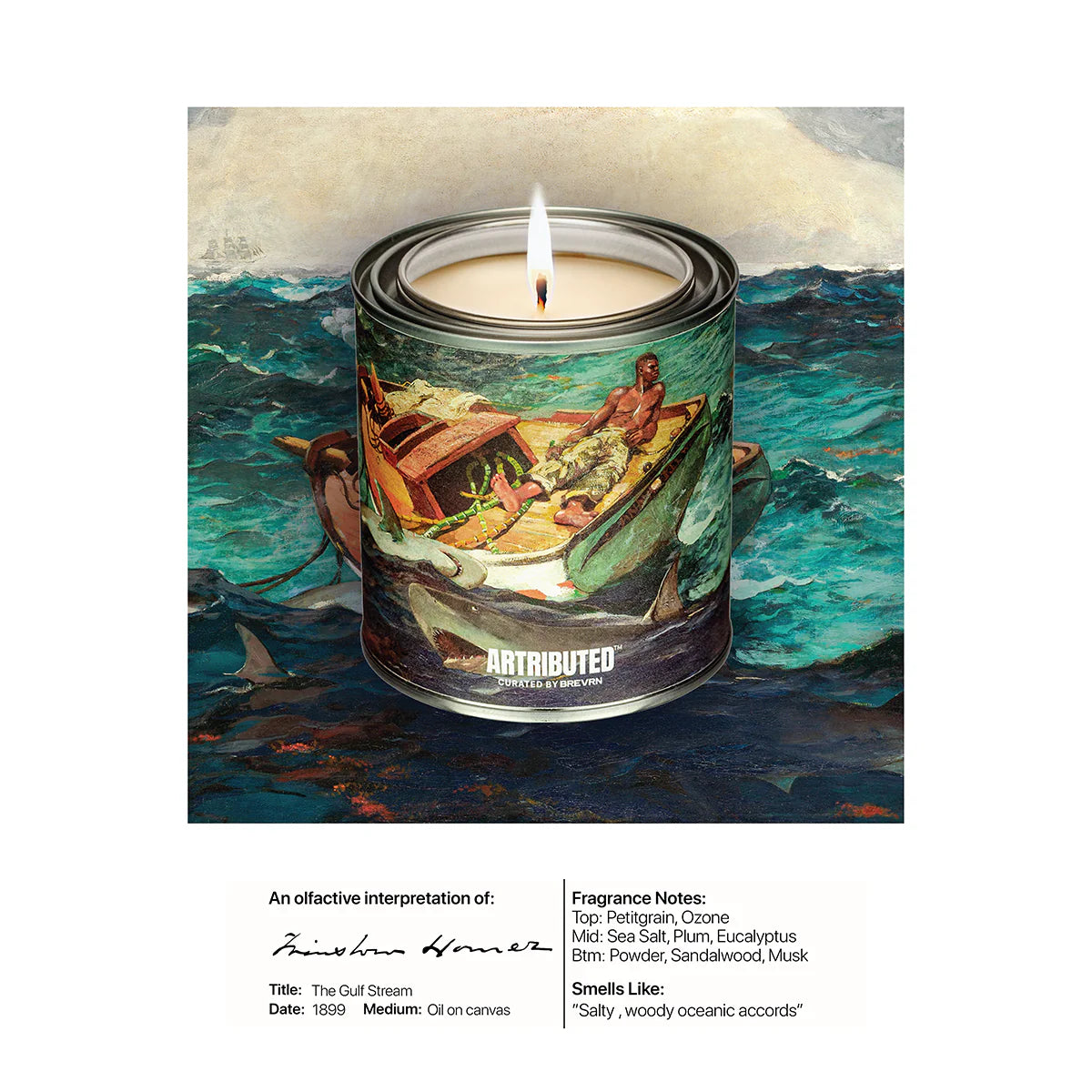 Winslow Homer The Gulf Stream Candle
